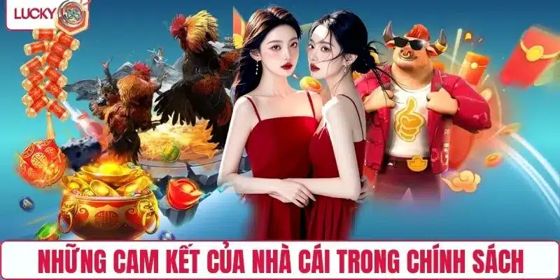 Những cam kết của nhà cái trong chính sách