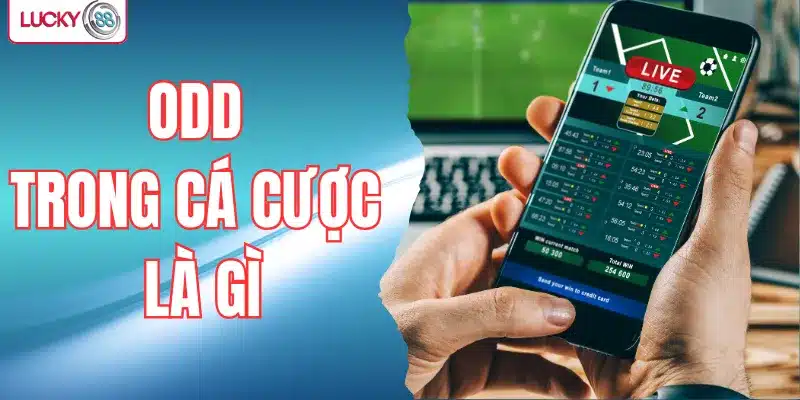 Odd trong cá cược là gì